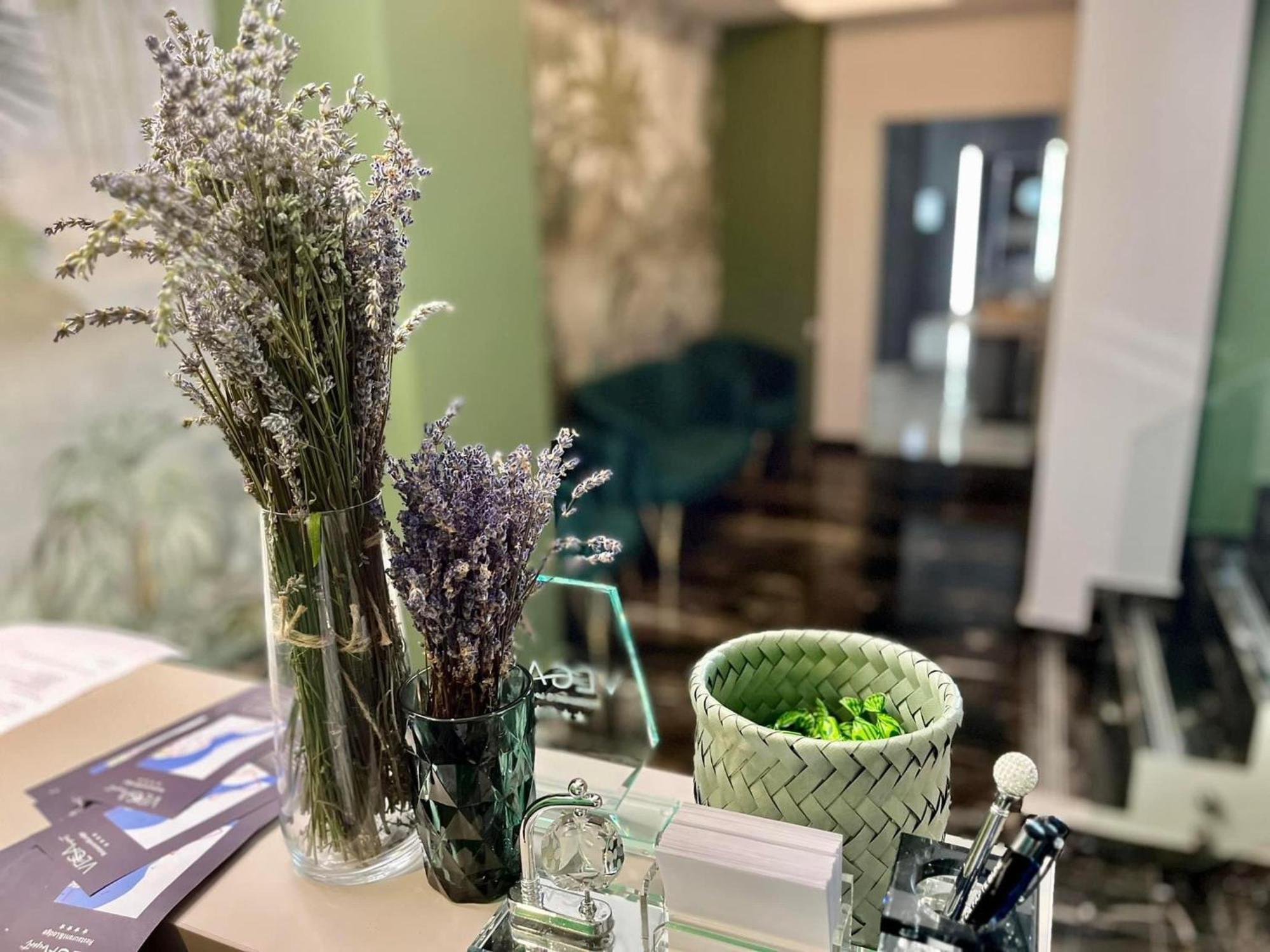 Orşova Vega Resort Restaurant & Lodge מראה חיצוני תמונה